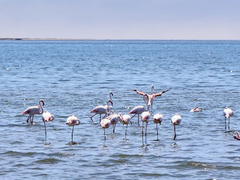 Swakopmund