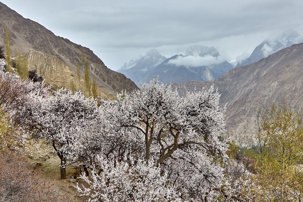 Pakistan 2022_0328