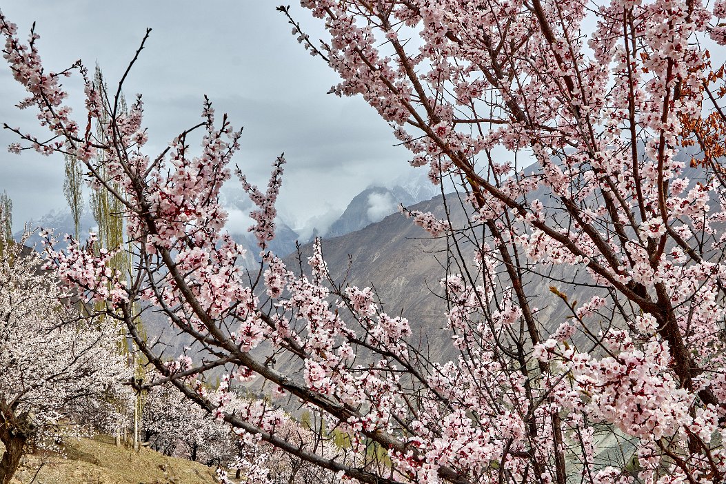 Pakistan 2022_0330