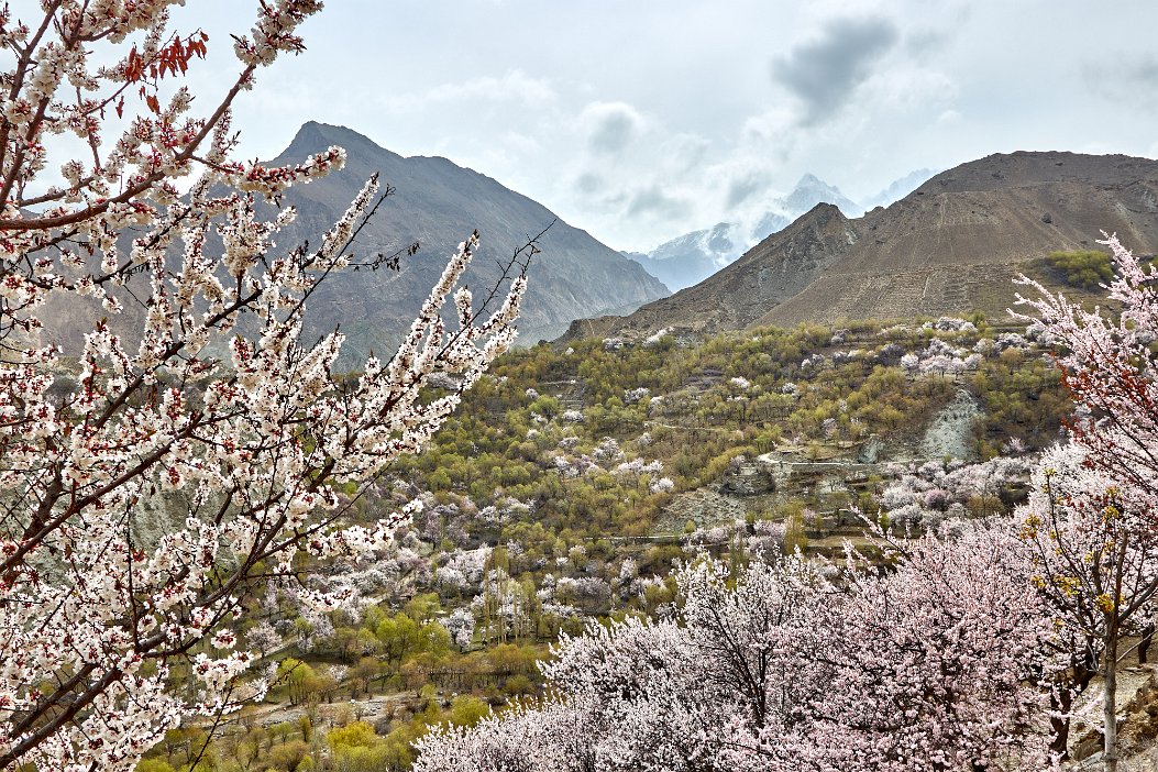 Pakistan 2022_0331