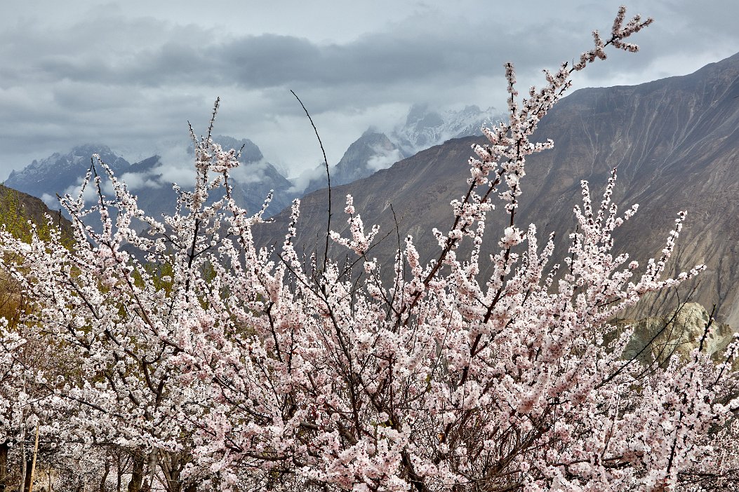 Pakistan 2022_0334