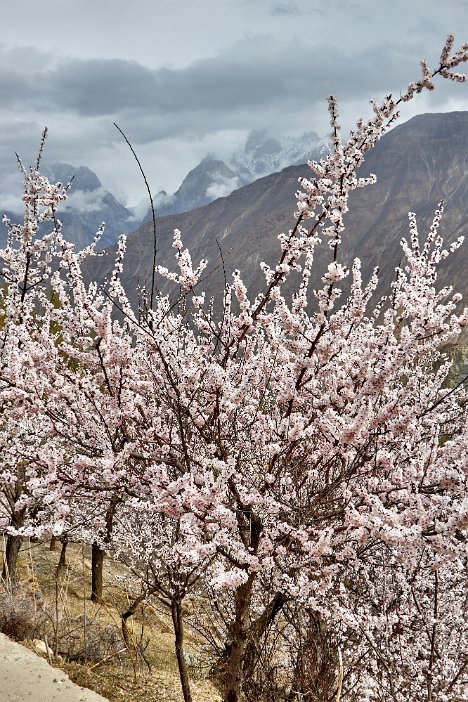 Pakistan 2022_0335