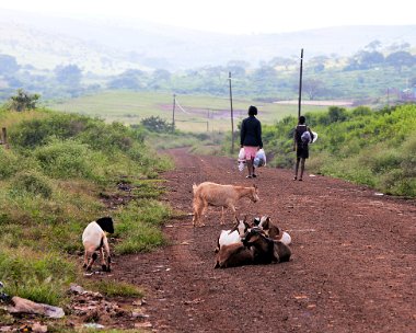 Swaziland KwaZulu-Natal